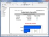Preview Tab